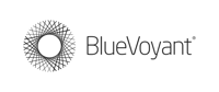 BlueVoyant